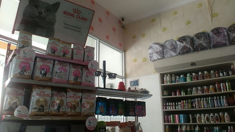 Mengapa Hewan Peliharaan di Cilacap Memilih Majestic Pet Care?